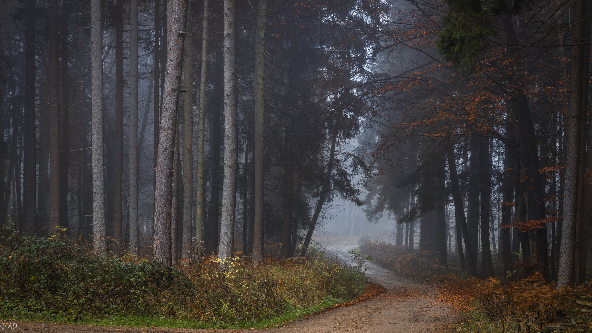 Unterwegs zum Nebelfoto