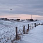 Unterwegs zum Norderneyer Leuchtturm