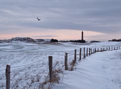 Unterwegs zum Norderneyer Leuchtturm