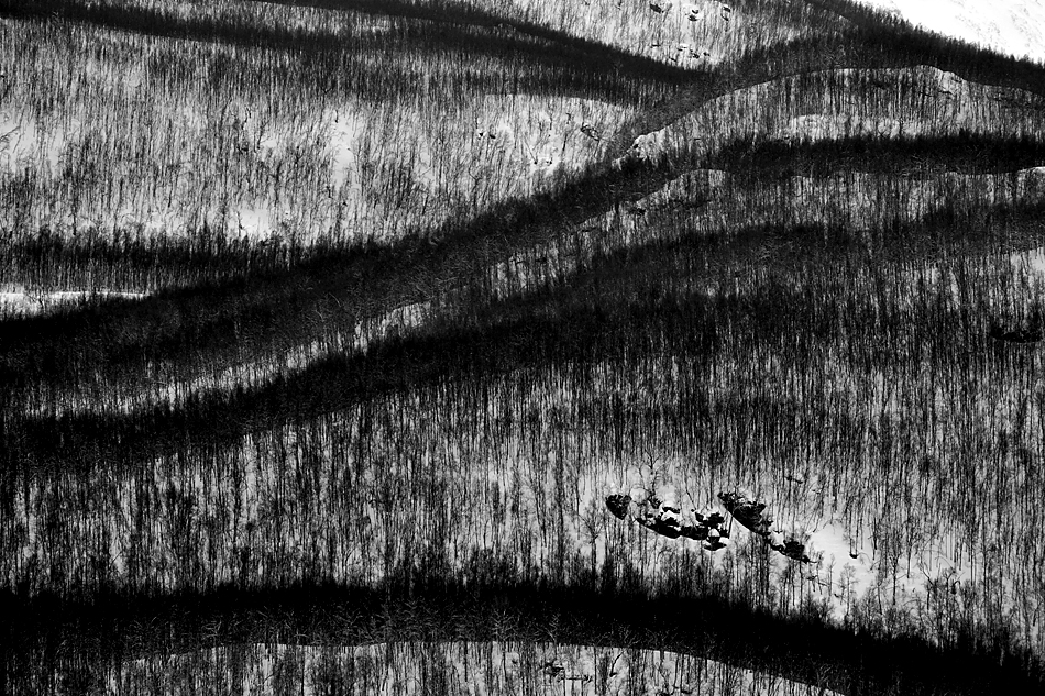 Unterwegs zum Nordkapp im Winter – Winterwald Landschaft