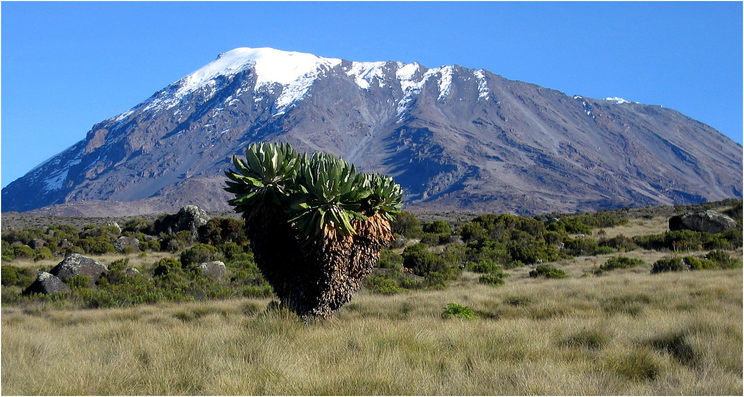 Unterwegs zum Uhuru-Peak (5835 m),...