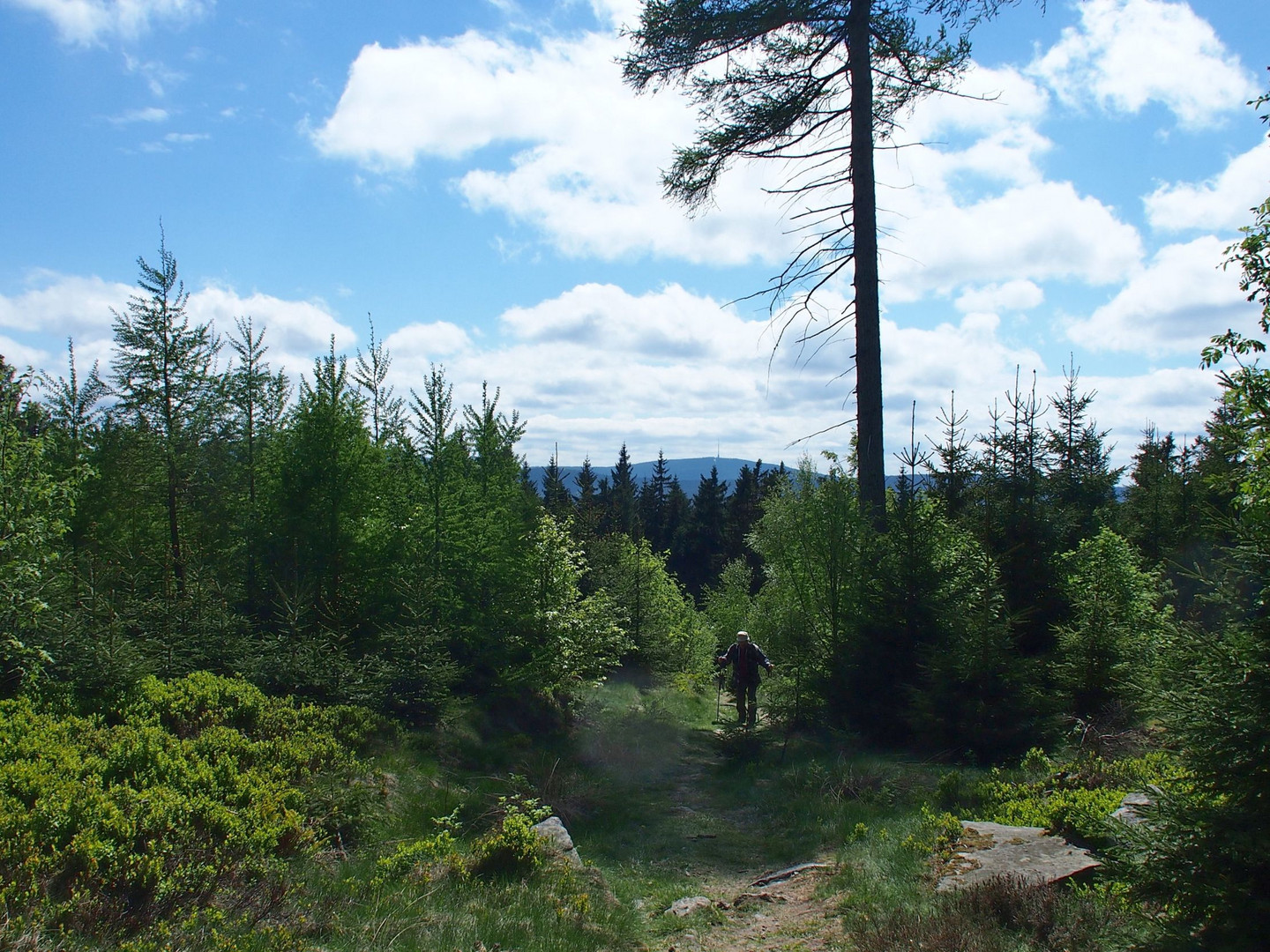 Unterwegs zum Waldstein 