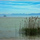 Unterwegs zur Insel Mainau