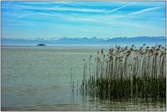 Unterwegs zur Insel Mainau