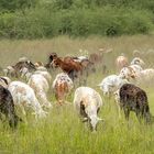 Unterwegs zur Kataneno Jagd Farm (3)