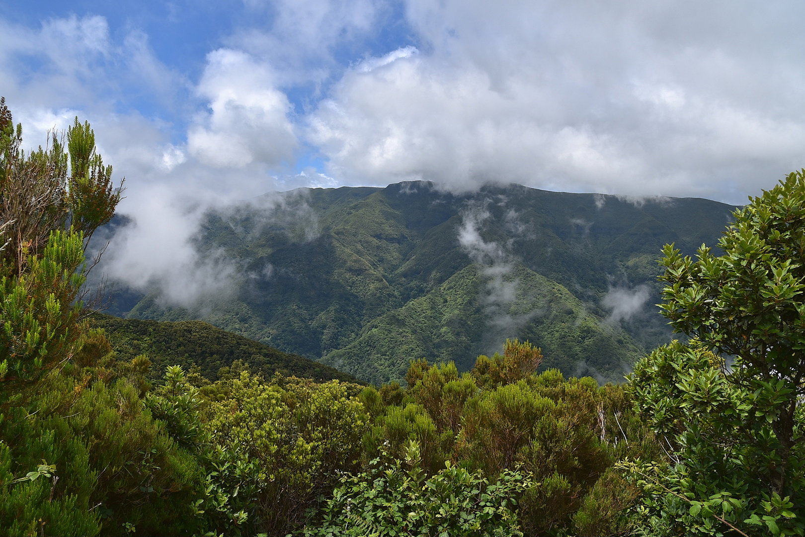 Unterwegs zur Levada dos Cedros / Madeira