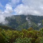 Unterwegs zur Levada dos Cedros / Madeira