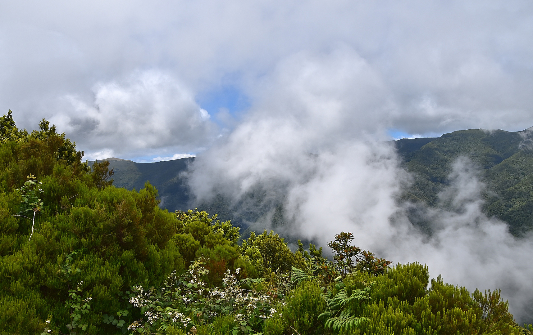 Unterwegs zur Levada dos Cedros / Madeira