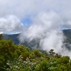 Unterwegs zur Levada dos Cedros / Madeira