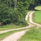 Unterwegs zwischen Wald und Wiesen