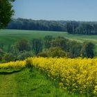 Unterwegs zwischen Wuppertal und Mettmann