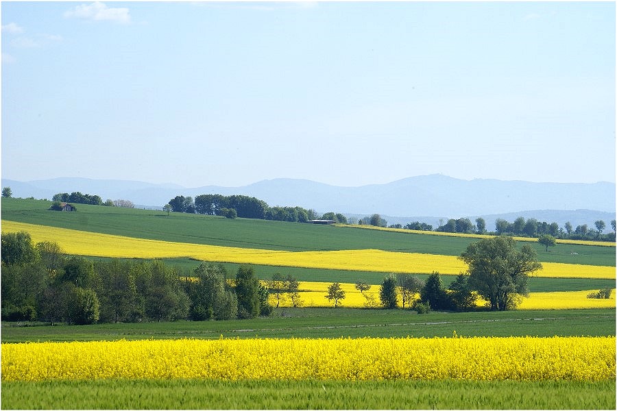 Unterwegs....und das Gelbe in der Landschaft