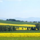 Unterwegs....und das Gelbe in der Landschaft