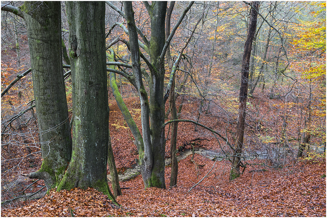 unterwgs im furlbachtal