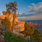 Untitled Grand Canyon Sunset 5