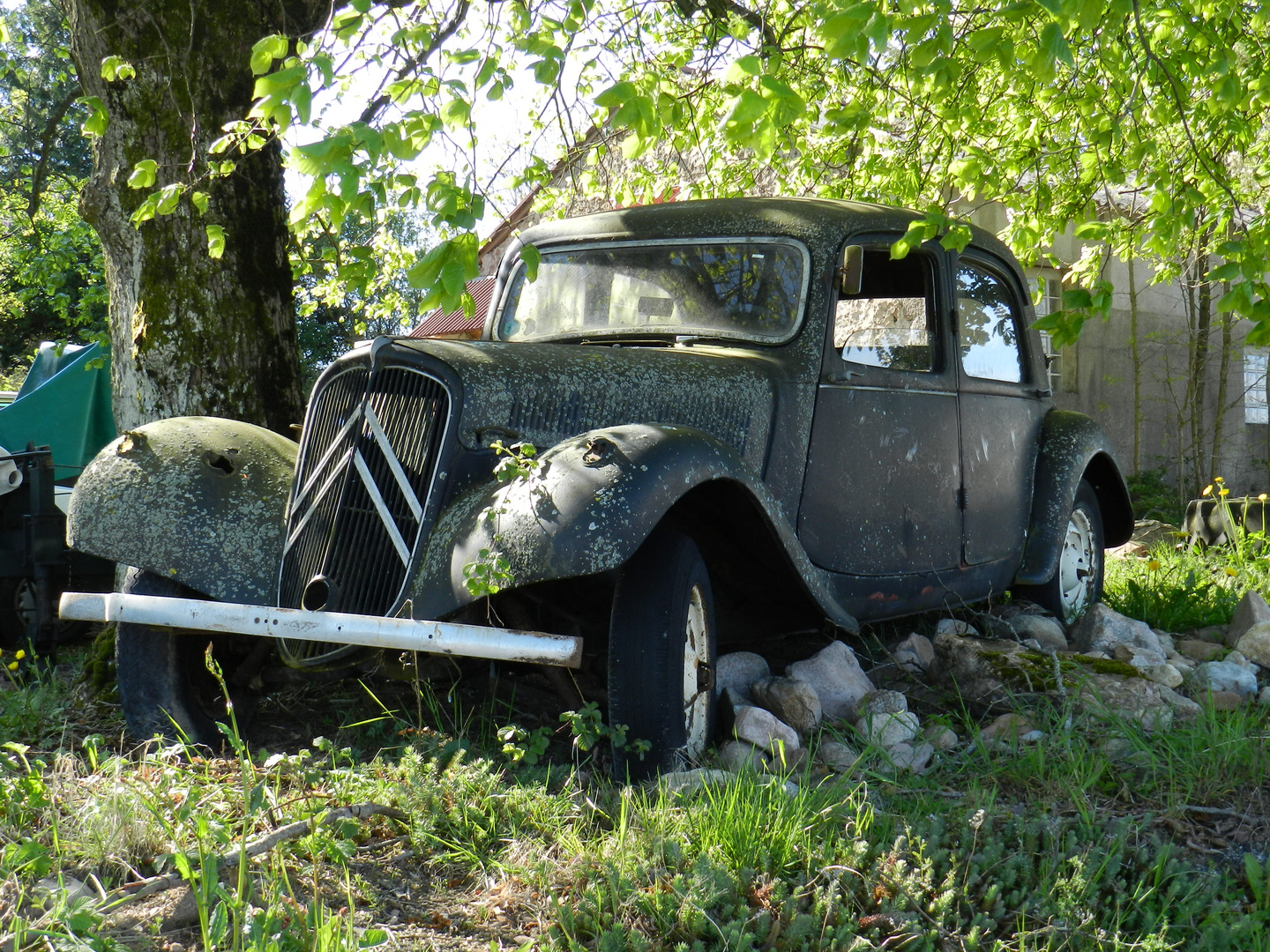 Unvergessen - die Gangsterlimousine