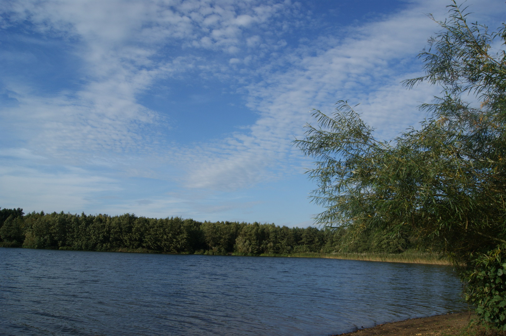 unvergessener nachmittag am see