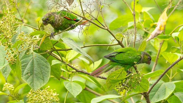 °°_Unvergesslich_°°