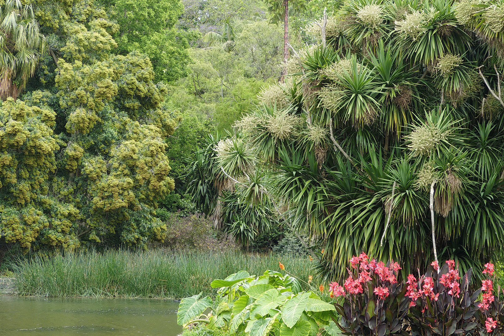 Unvergessliche Naturimpression  Australien