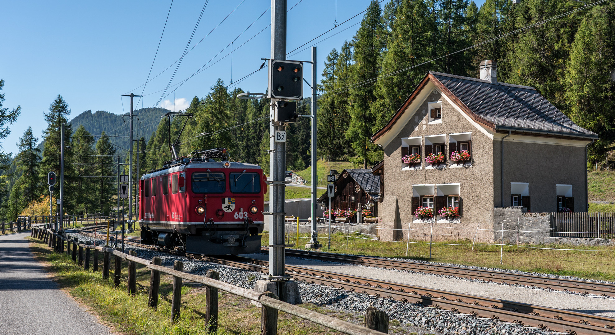 Unverhoffte Begegnung 