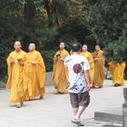 Unverhoffte Begegnung im Park