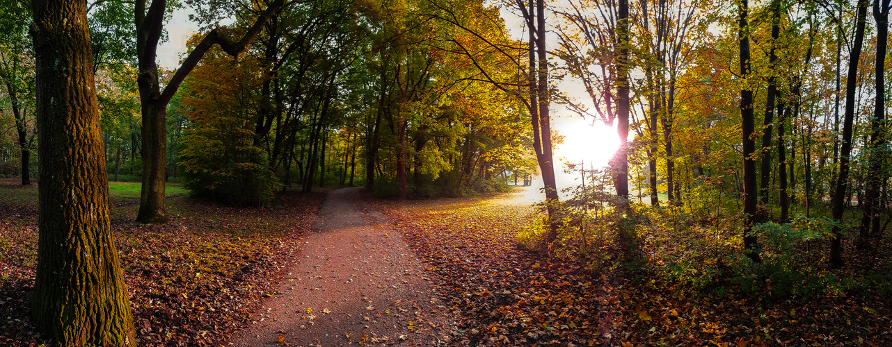 Unverhofftes Licht im Schlosspark Laxenburg