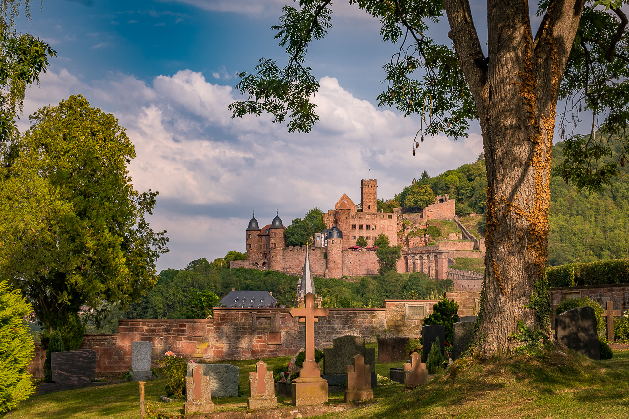 Unverkennbar, die Wertheimer Burg, heute mal vom Bergfriedhof aus gesehen.