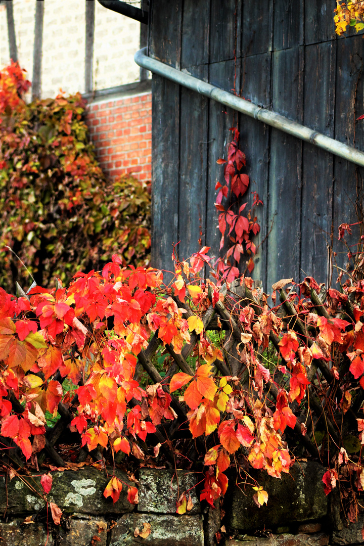 unverkennbar Herbst auf dem Land