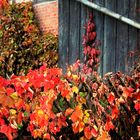 unverkennbar Herbst auf dem Land