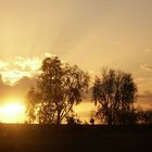 unweit Clermont, Outback Queensland, Australia