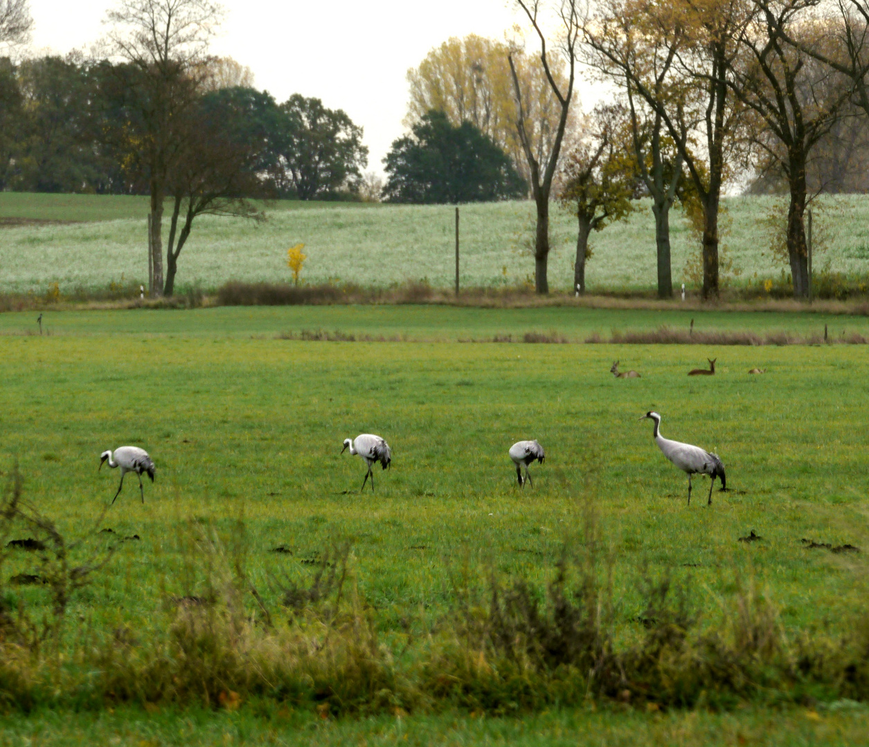 Unweit der Landstrasse