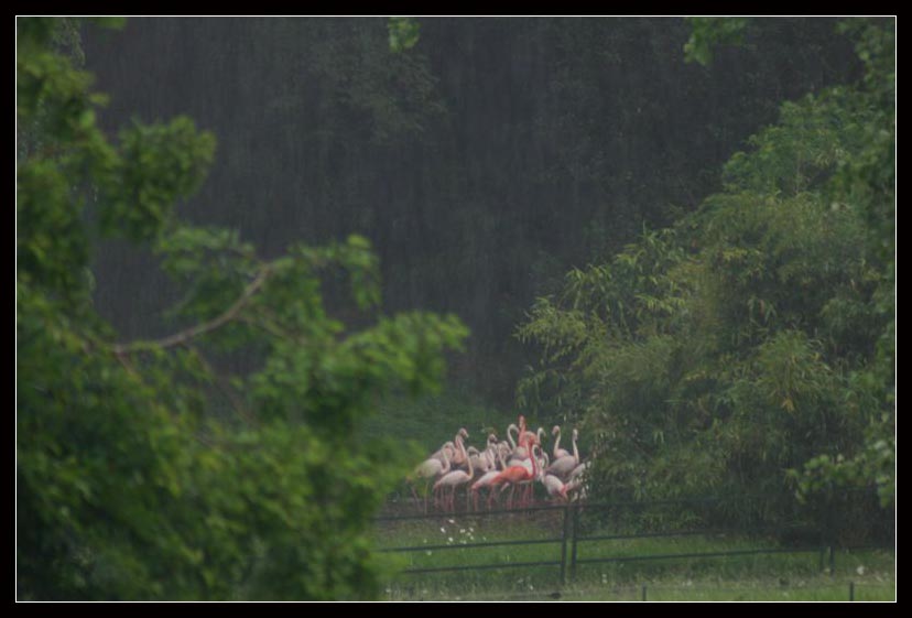 Unwetter