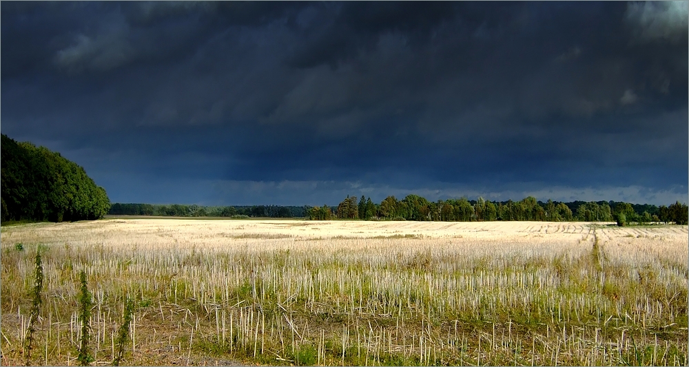 Unwetter, Gewitter, Tornado, Sturm