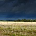 Unwetter, Gewitter, Tornado, Sturm