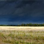 Unwetter, Gewitter, Tornado, Sturm