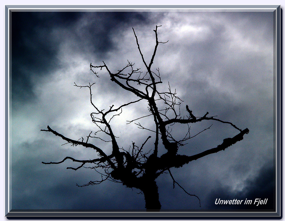 Unwetter im Fjell