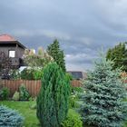 Unwetter im Garten