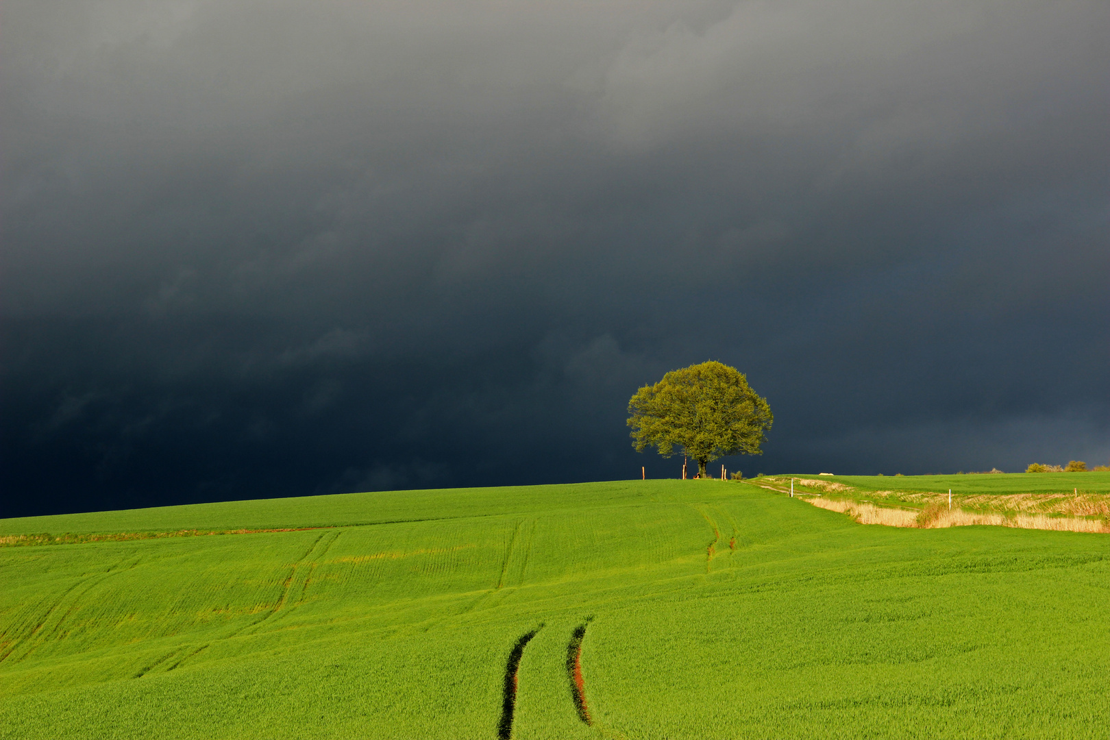 ~ Unwetter über der Horpke ~