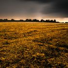 Unwetter über Verden