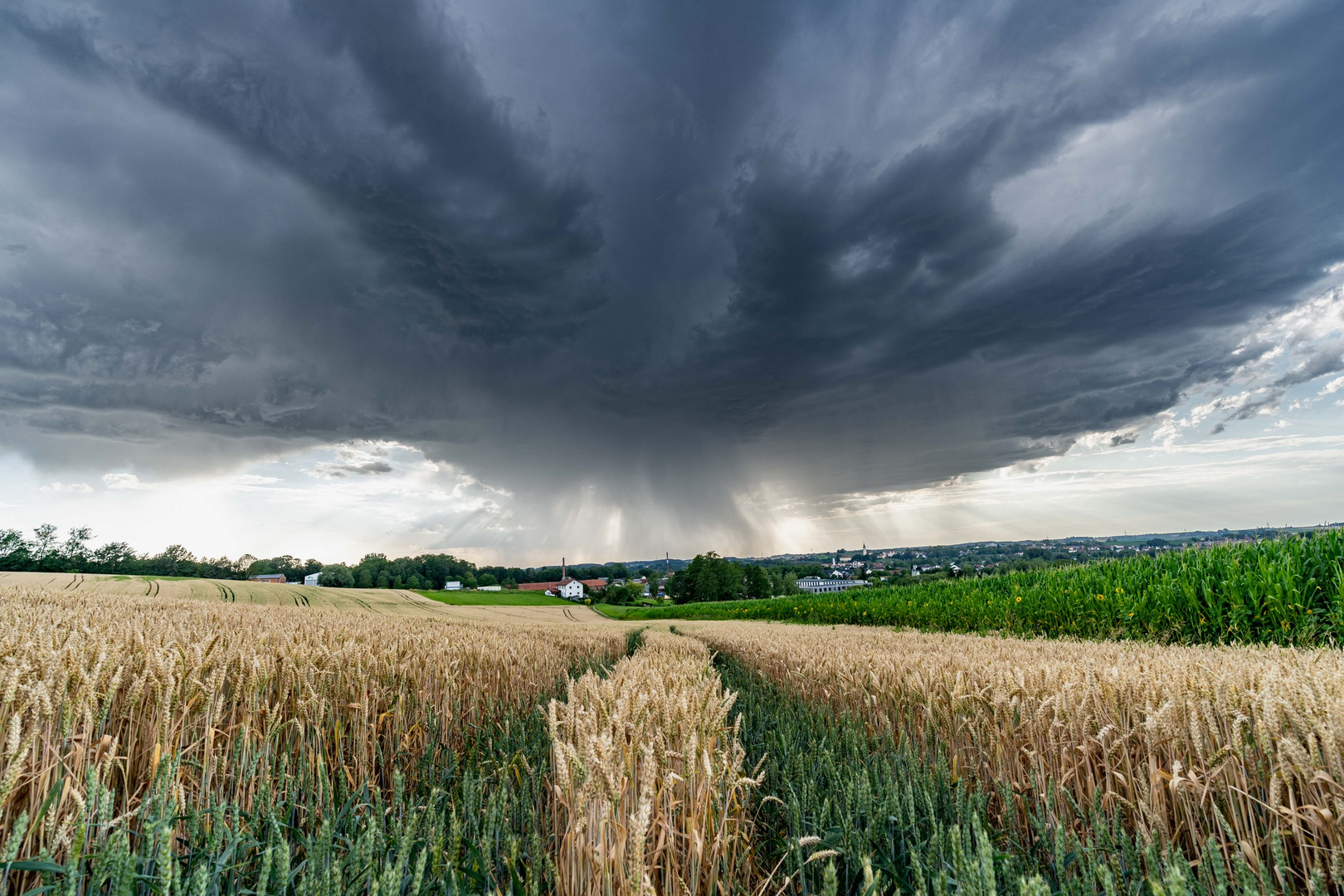 Unwetter und dann Lavendelfeld - mit YouTube Video