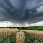 Unwetter und dann Lavendelfeld - mit YouTube Video