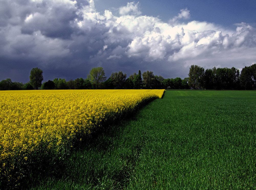 Unwetter von links