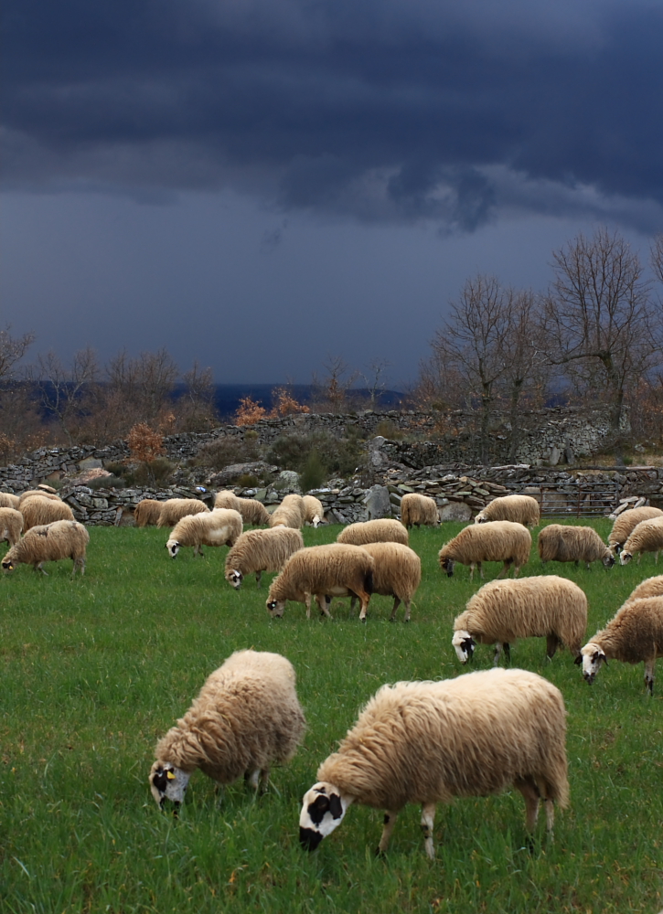 Unwetter zieht auf