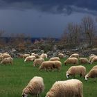 Unwetter zieht auf