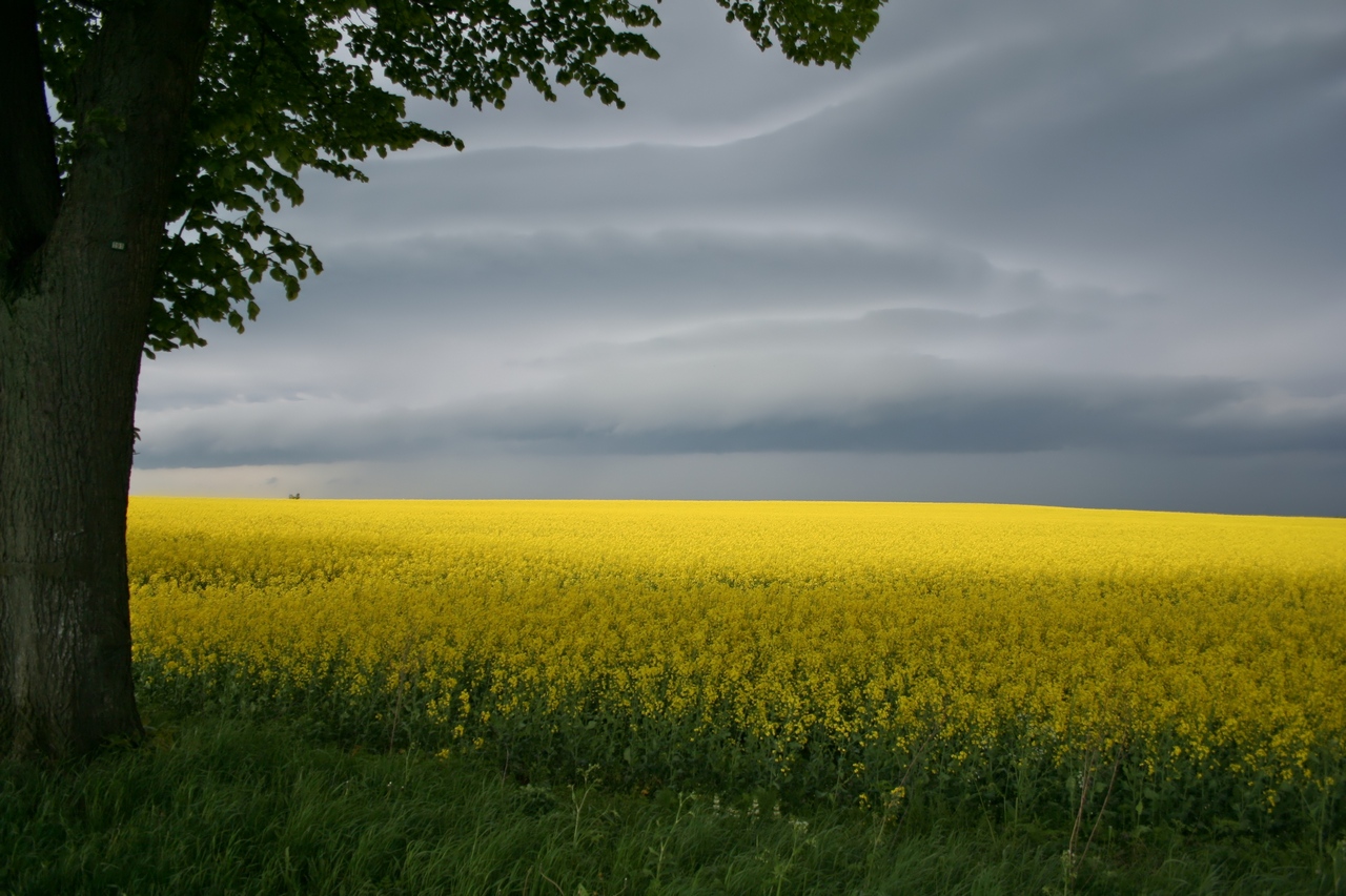 Unwetter zieht auf...