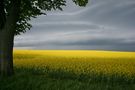 Unwetter zieht auf... von xyz 