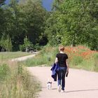 Unwetterfront am Rand der Rheingärten zu Neuenburg