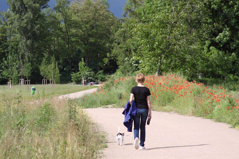 Unwetterfront am Rand der Rheingärten zu Neuenburg