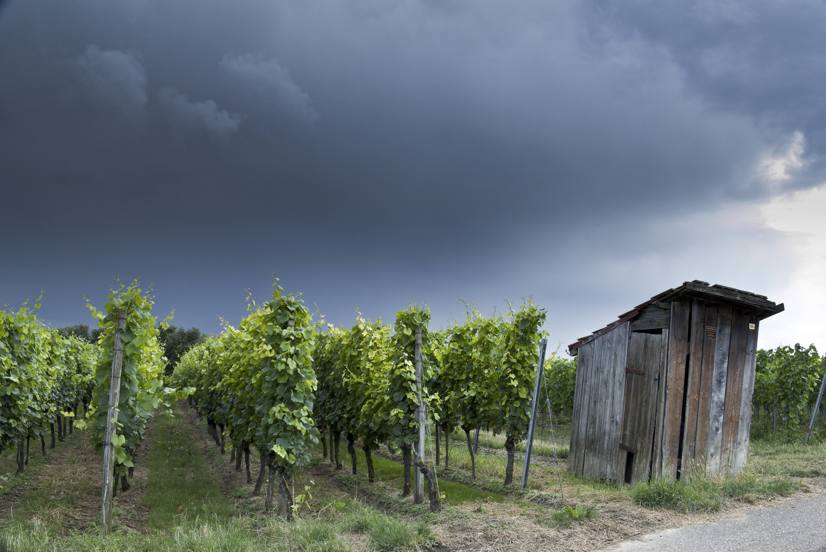 Unwetterstimmung am Kaiserstuhl 2