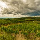 Unwetterstimmung am Kaiserstuhl